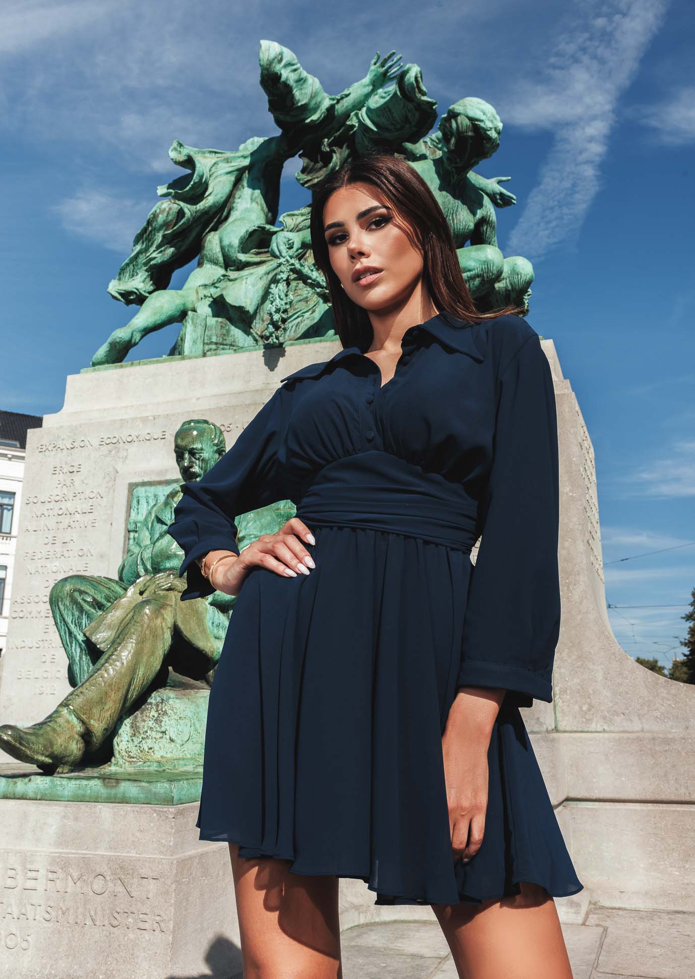 Long Sleeved Navy Blue Chiffon Dress