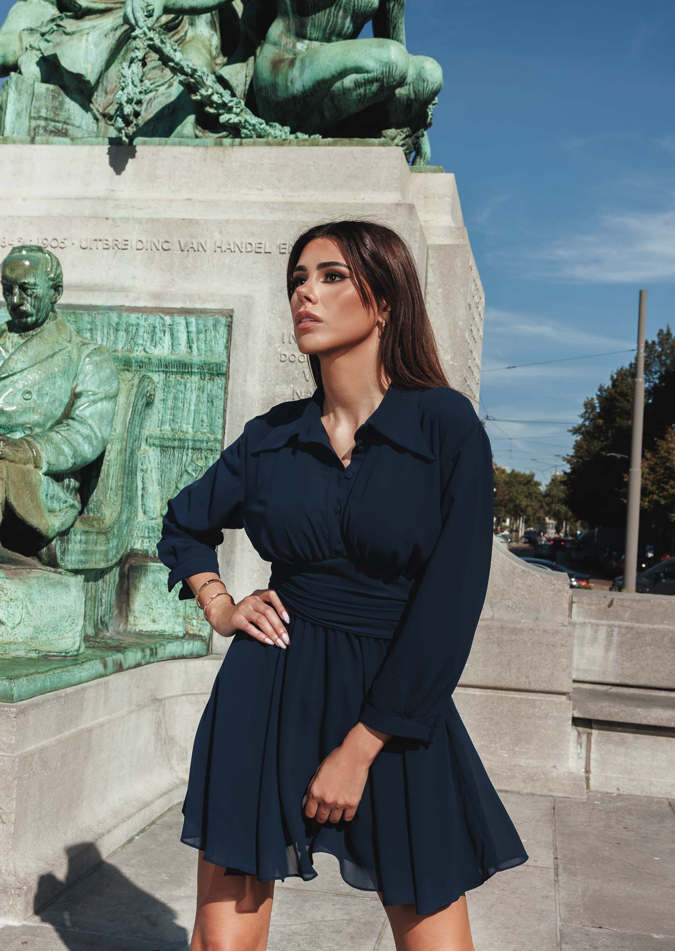 Long Sleeved Navy Blue Chiffon Dress