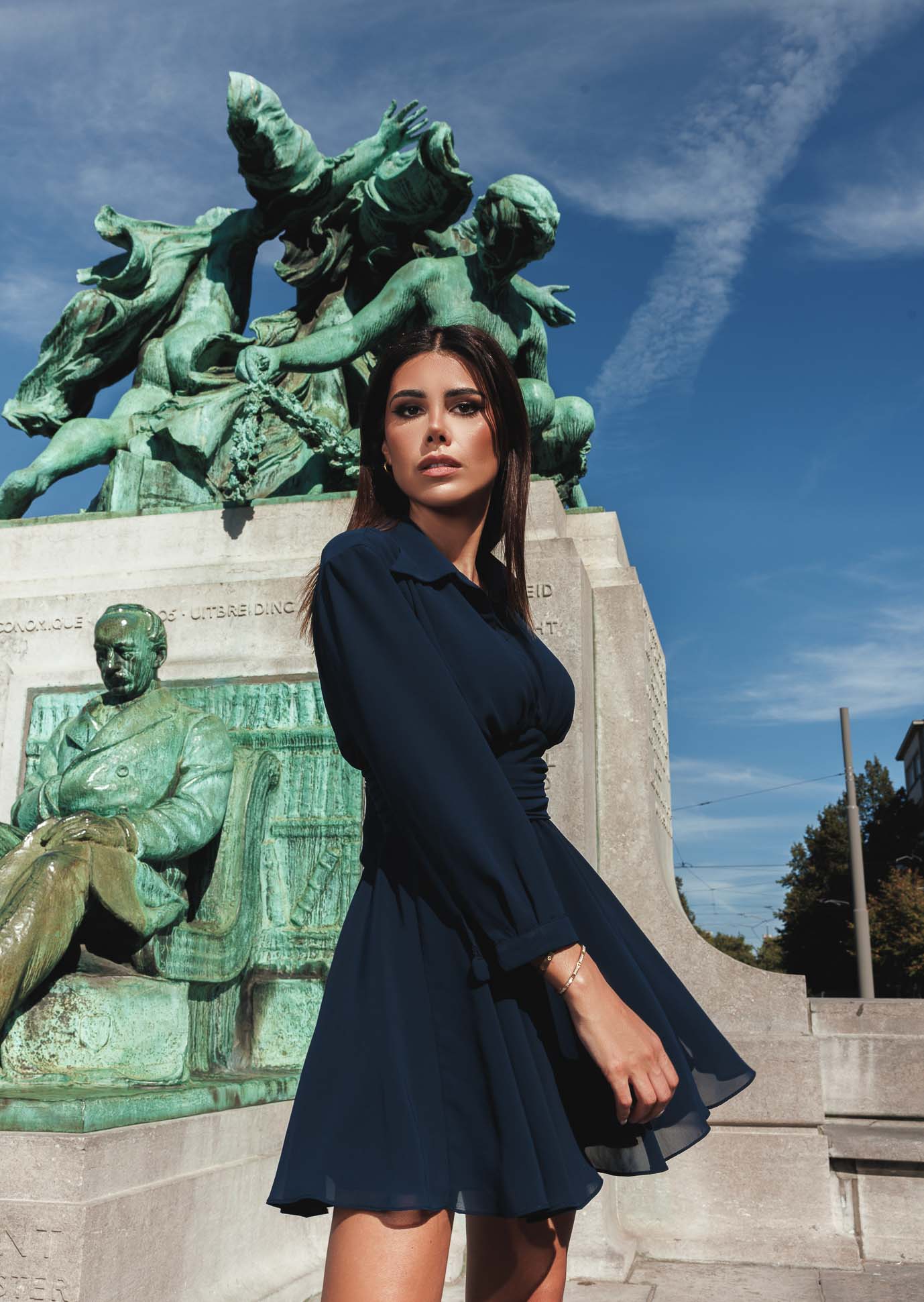 Long Sleeved Navy Blue Chiffon Dress