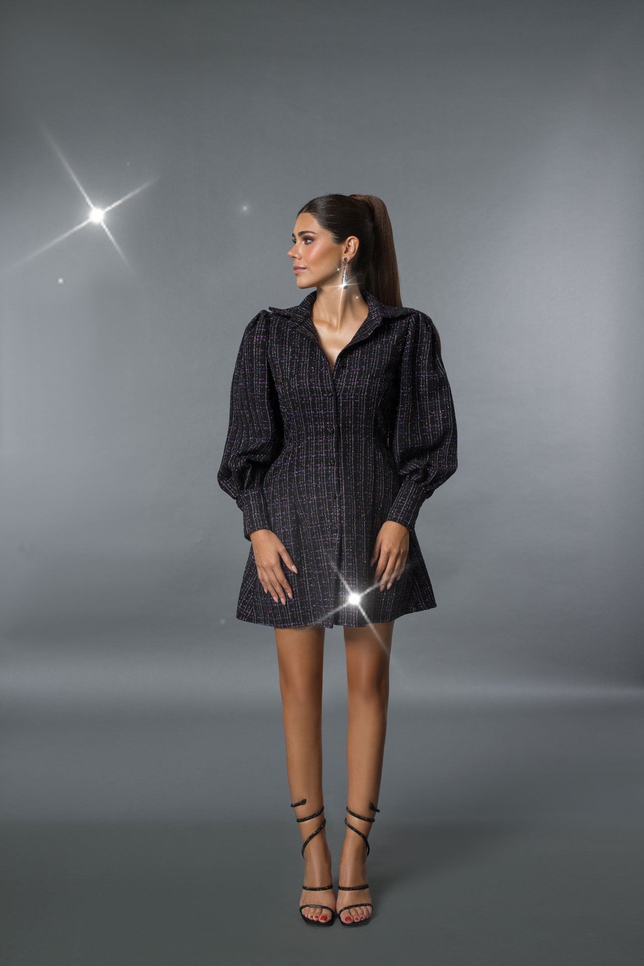 Long Sleeved Tweed Black Dress