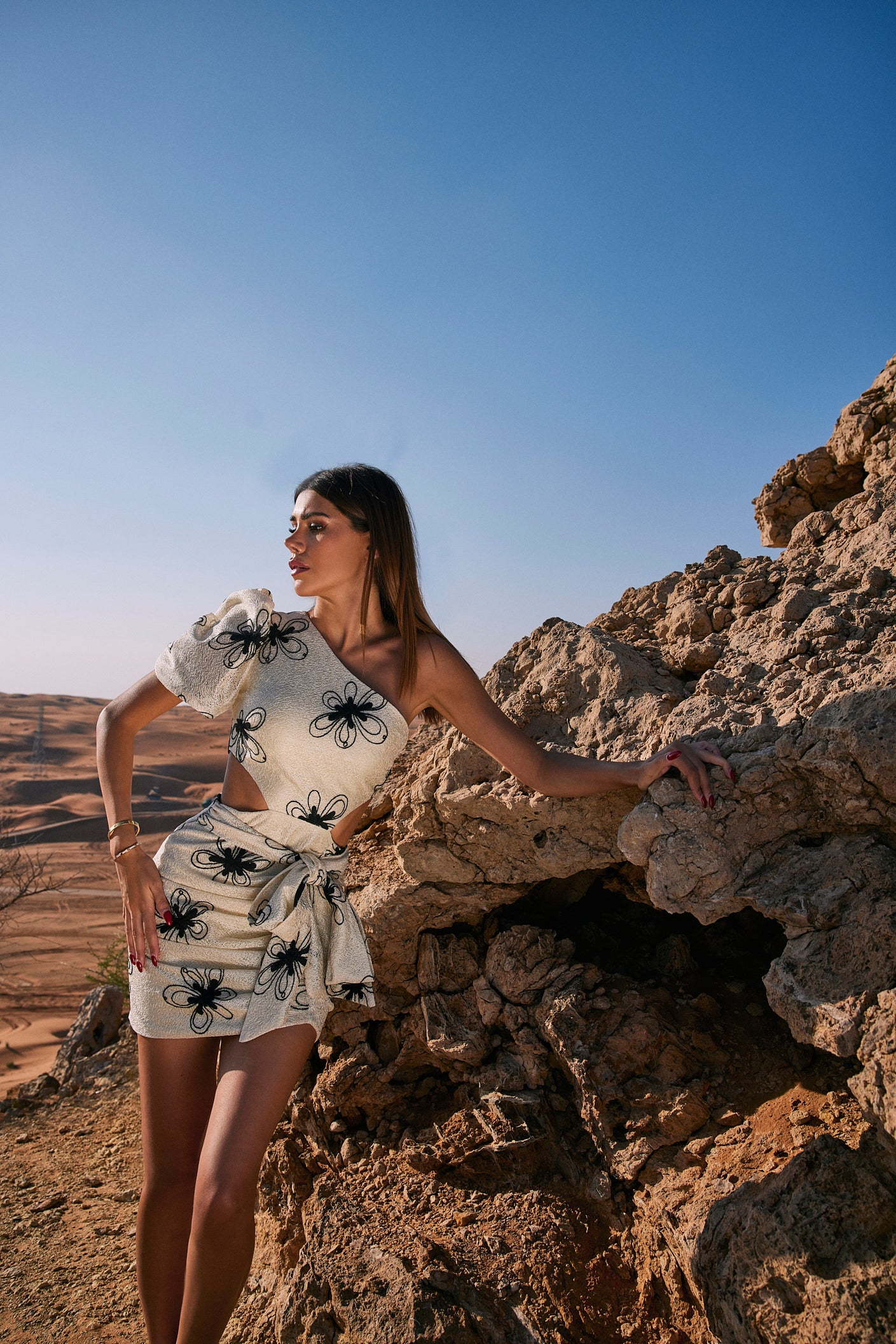 Black Flower Embroidered Asymmetric Dress